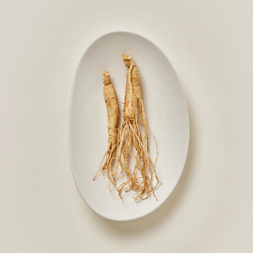 BEAUTY OF JOSEON Suero solar húmedo con ginseng (SPF 50+ PA++++)